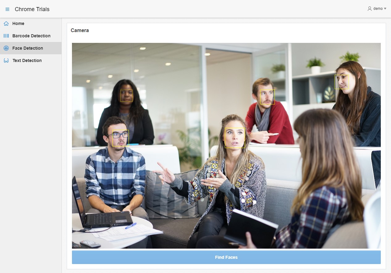 Screenshot of application demonstrating Face Detection API
